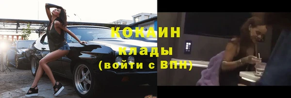 spice Алзамай