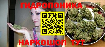 синтетический гашиш Пенза