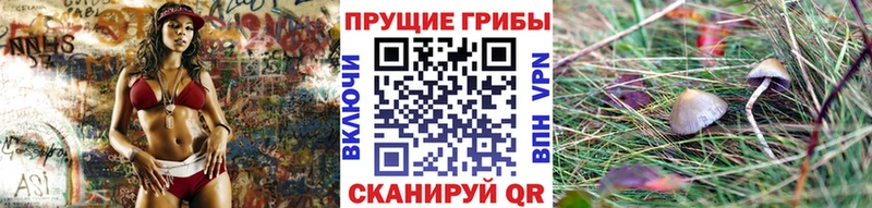 даркнет сайт Новоалтайск Галлюциногенные грибы мухоморы