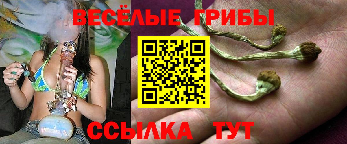 Псилоцибиновые грибы прущие грибы Новоалтайск